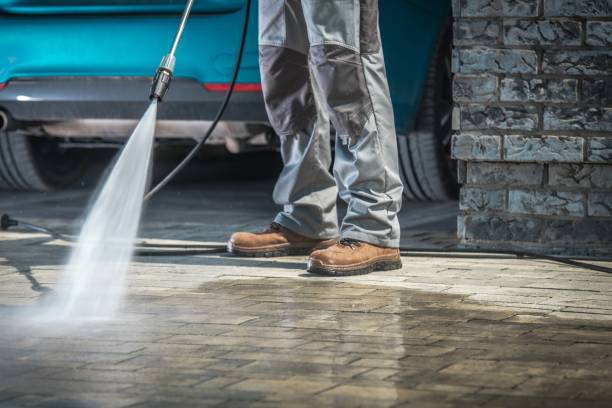 Best Driveway Pressure Washing  in Homer, IL